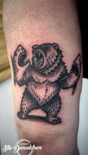 Bear Vs. Shark