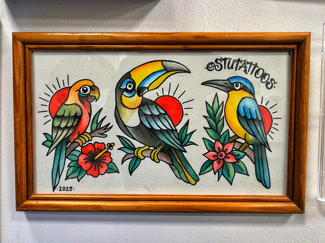 Tropical Birds